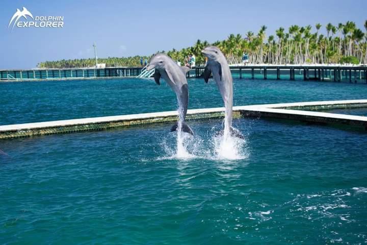 Punta Cana Sol Caribe Beach Pool Dış mekan fotoğraf
